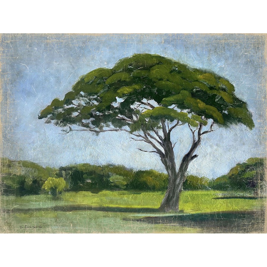 PIN PARASOL (120x90cm) PIN PARASOL (120x90cm)